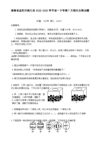2022-2023学年湖南省益阳市桃江县高一下学期7月期末生物试题含答案