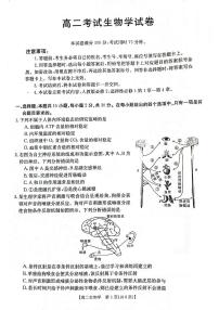 2024辽宁省部分学校高二上学期10月月考生物试题PDF版无答案
