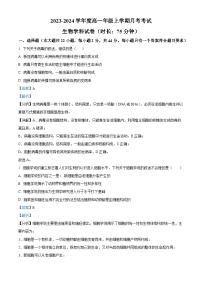 黑龙江省大庆市东风中学2023-2024学年高一生物上学期10月月考试题（Word版附解析）