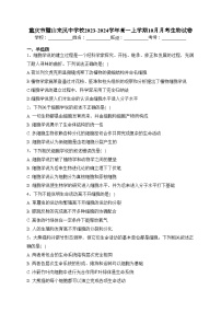 重庆市璧山来凤中学校2023-2024学年高一上学期10月月考生物试卷(含答案)