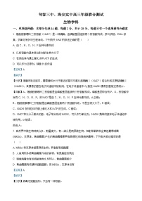 2024江苏省句容三中、海安实验中学联考高三上学期10月月考生物试题含解析