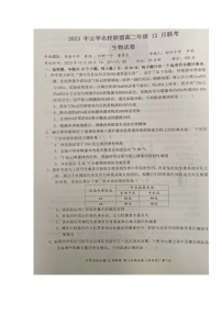 湖北省云学名校联盟2023-2024学年高二上学期12月联考生物试题