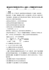 湖北省武汉市新洲区部分学校2024届高三上学期期中联考生物试卷(含答案)