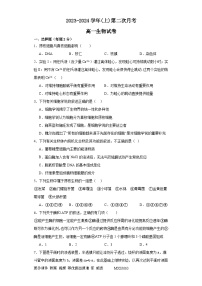 福建省漳州市华安县第一中学2023-2024学年高一上学期12月月考生物试题