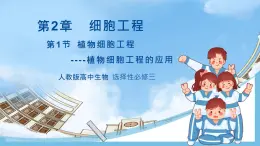 【名師特供】2.1.2《植物細(xì)胞工程的應(yīng)用》 課件 人教版高中生物選修三