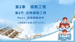 【名師特供】2.2.1《動(dòng)物細(xì)胞培養(yǎng)》 課件 人教版高中生物選修三