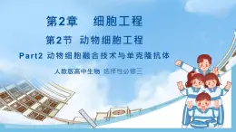 【名師特供】2.2.2《動(dòng)物細(xì)胞融合技術(shù)與單克隆抗體》 課件 人教版高中生物選修三
