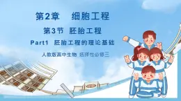 【名師特供】2.3.1《胚胎工程的理論基礎(chǔ)》 課件 人教版高中生物選修三