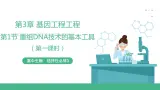 【名师特供】3.1《重组DNA技术的基本操作》（第1课时） 课件 人教版高中生物选修三