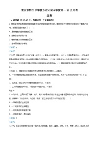重庆市黔江中学校2023-2024学年高一上学期11月月考生物试题（Word版附解析）