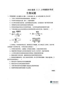 黑龙江省大庆实验中学实验二部2023-2024学年高二上学期期末考试生物试题
