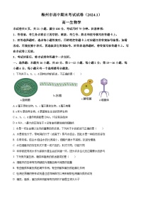 广东省梅州市2023-2024学年高一上学期期末考试生物试题（Word版附解析）