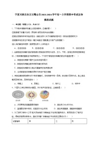 宁夏回族自治区石嘴山市2023-2024学年高一上册期中考试生物模拟试题（附答案）