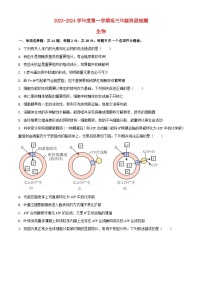 江苏省海安市2023_2024学年高三生物上学期10月月考试题含解析