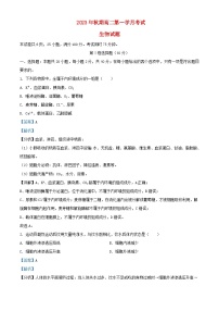 四川省泸县2023_2024学年高二生物上学期10月月考试题含解析