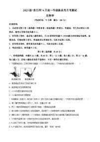 2024广西壮族自治区贵百河联考高一下学期4月月考试题生物含解析