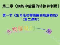 生物必修1《分子與細(xì)胞》第三章 細(xì)胞中能量的轉(zhuǎn)換和利用第一節(jié) 生命活動(dòng)需要酶和能源物質(zhì)備課ppt課件