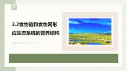 3.2食物链和食物网形成生态系统的营养结构（教学课件）——高中生物学浙科版（2019）选择性必修二