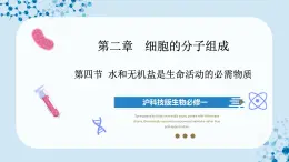 【沪科技版】生物必修一  2.4 水和无机盐是生命活动的必需物质（教学课件）