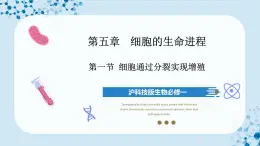 【沪科技版】生物必修一  5.1 细胞通过分裂实现增殖（教学课件）