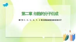 沪科技版(2020)高中生物 必修一 2.1 C、H、O、N、P、S 等元素组成复杂的生物分子 课件
