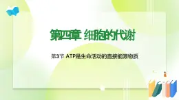 沪科技版(2020)高中生物 必修一 4.3 ATP是生命活动的直接能源物质（第1课时） 课件