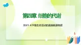 沪科技版(2020)高中生物 必修一 4.3 ATP是生命活动的直接能源物质（第1课时） 课件