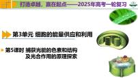 專題3.5 捕獲光能的色素和結(jié)構(gòu)及光合作用的原理探索（課件）-2025年高考生物一輪復(fù)習(xí)考點歸類（新高考通用）