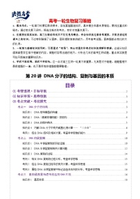 第20講 DNA分子的結(jié)構(gòu)、復(fù)制與基因的本質(zhì)（講義）-2025年高考生物一輪復(fù)習(xí)課件+講義+專練（新教材新高考）