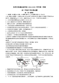 廣東省東莞市海德實驗學(xué)校2024-2025學(xué)年高二上學(xué)期12月月考生物試題