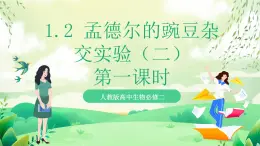 人教版高中生物必修二1.2《孟德爾的豌豆雜交實驗(二)》（第1課時）課件+教案+分層練習(xí)+導(dǎo)學(xué)案
