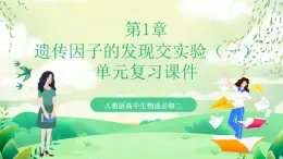 人教版高中生物必修二第1章《遺傳因子的發(fā)現(xiàn)》單元復(fù)習(xí)課件+單元解讀課件+知識清單+單元測試