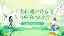 人教版高中生物必修二3.4《基因通常是有遺傳效應(yīng)的DNA片段》課件+教案+分層練習(xí)+導(dǎo)學(xué)案