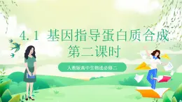 人教版高中生物必修二4.1《基因指導(dǎo)蛋白質(zhì)的合成》（第2課時）課件+教案+分層練習(xí)+導(dǎo)學(xué)案