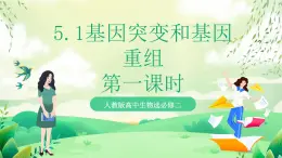 人教版高中生物必修二5.1《基因突變和基因重組》（第1課時）課件+教案+分層練習(xí)+導(dǎo)學(xué)案