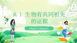 人教版高中生物必修二6.1《生物有共同祖先的證據(jù)》課件+教案+分層練習(xí)+導(dǎo)學(xué)案