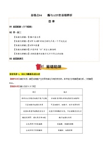 易錯點(diǎn)04 酶與ATP的易錯辨析（5大陷阱）-備戰(zhàn)2025年高考生物考試易錯題（新高考通用）