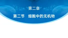 人教版2025高中生物必修一2.2細(xì)胞中的無機(jī)物 課件