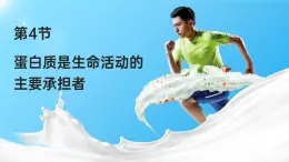 人教版2025高中生物必修一2.4蛋白質(zhì)是生命活動(dòng)的主要承擔(dān)者 課件