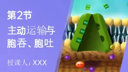 人教版2025高中生物必修一4.2主動(dòng)運(yùn)輸和胞吞、胞吐 課件