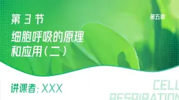 人教版2025高中生物必修一5.3.1細(xì)胞呼吸的原理和應(yīng)用（第二課時(shí)） 課件
