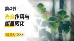 人教版2025高中生物必修一5.4.1捕獲光能的色素和結(jié)構(gòu) 課件