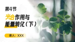 人教版2025高中生物必修一5.4.2光合作用的原理和應(yīng)用 課件