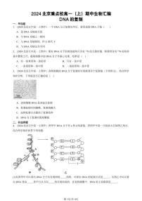 2024北京重點校高一（上）期中真題生物匯編：DNA的復制