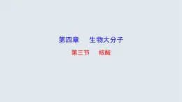 2.5《核酸》課件 人教版高中生物必修一