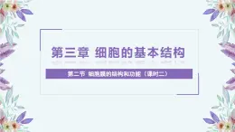 人教版 2019 高中生物必修1 第三章3.2《 細(xì)胞器之間的分工合作》 (課時(shí)2 )  PPT+教案
