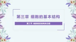 人教版 2019 高中生物必修1 第三章3.3《細(xì)胞核的結(jié)構(gòu)和功能》PPT+教案