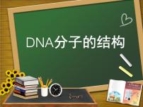 人教版 (新課標)必修2《遺傳與進化》DNA分子的結構課文配套ppt課件