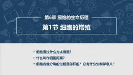 第6章 第1節(jié) 細(xì)胞的增殖 第1課時(shí)課件