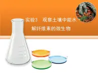 浙科版高中生物选修1 第一部分《观察土壤中能水解纤维素的微生物》教学课件